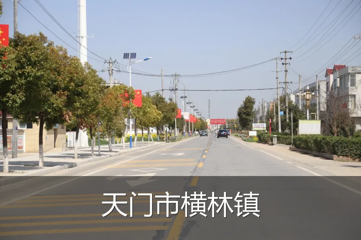 天门市横林镇