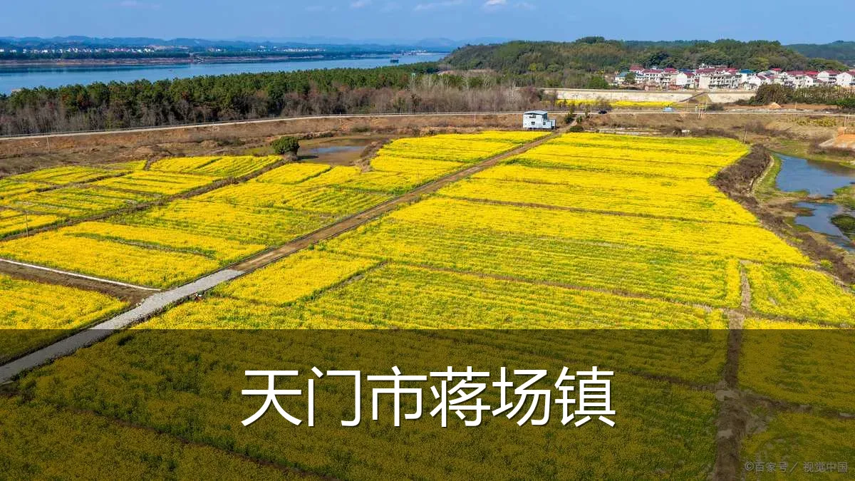 天门市蒋场镇